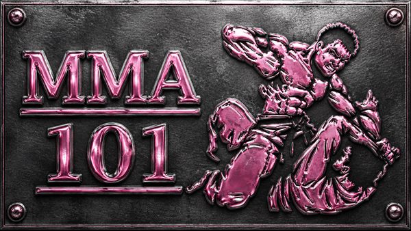 MMA 101